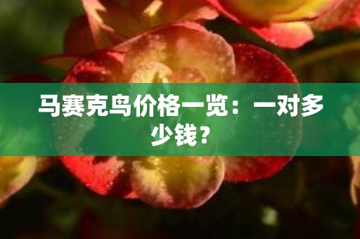 马赛克鸟价格一览：一对多少钱？