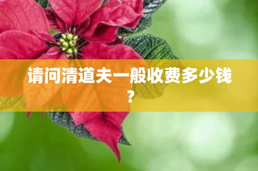 请问清道夫一般收费多少钱？