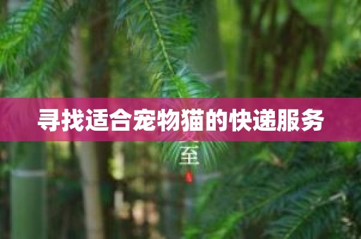 寻找适合宠物猫的快递服务
