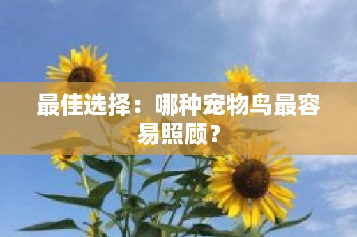 最佳选择：哪种宠物鸟最容易照顾？