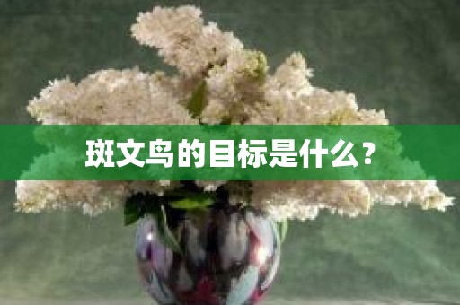 斑文鸟的目标是什么？