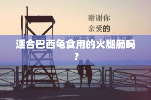 适合巴西龟食用的火腿肠吗？