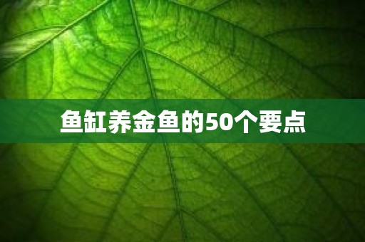 鱼缸养金鱼的50个要点