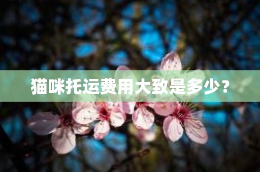 猫咪托运费用大致是多少？