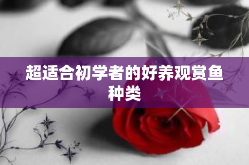 超适合初学者的好养观赏鱼种类