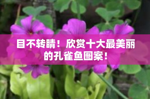 目不转睛！欣赏十大最美丽的孔雀鱼图案！