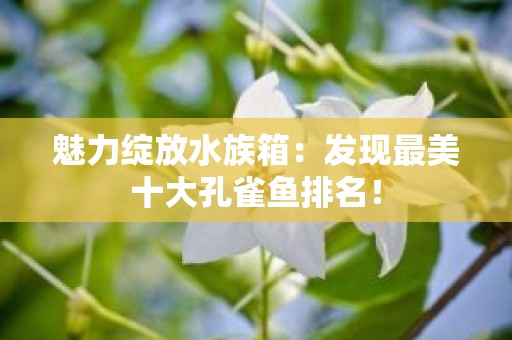 魅力绽放水族箱：发现最美十大孔雀鱼排名！