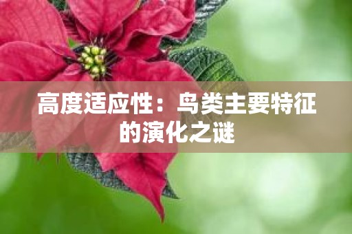 高度适应性：鸟类主要特征的演化之谜