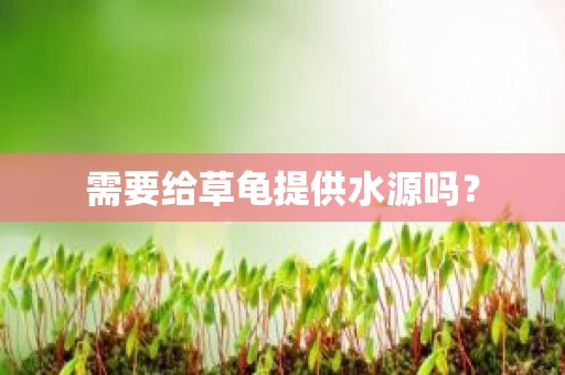 需要给草龟提供水源吗？