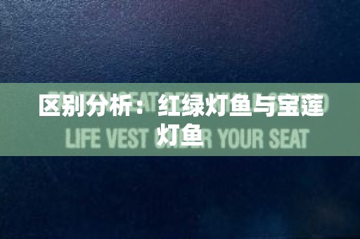 区别分析：红绿灯鱼与宝莲灯鱼