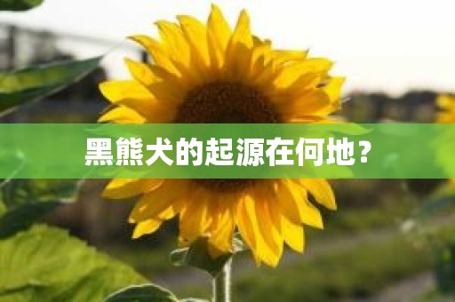 黑熊犬的起源在何地？