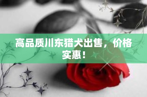 高品质川东猎犬出售，价格实惠！