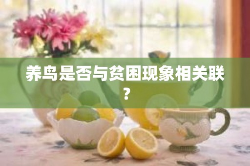 养鸟是否与贫困现象相关联？