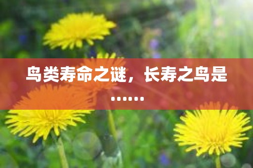 鸟类寿命之谜，长寿之鸟是……