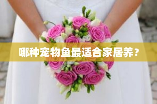 哪种宠物鱼最适合家居养？