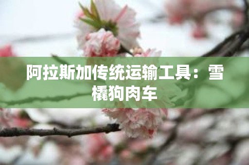 阿拉斯加传统运输工具：雪橇狗肉车