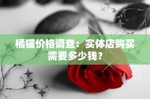 橘猫价格调查：实体店购买需要多少钱？