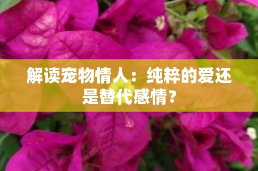解读宠物情人：纯粹的爱还是替代感情？