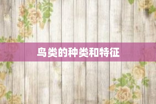鸟类的种类和特征