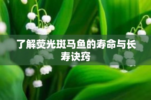 了解荧光斑马鱼的寿命与长寿诀窍