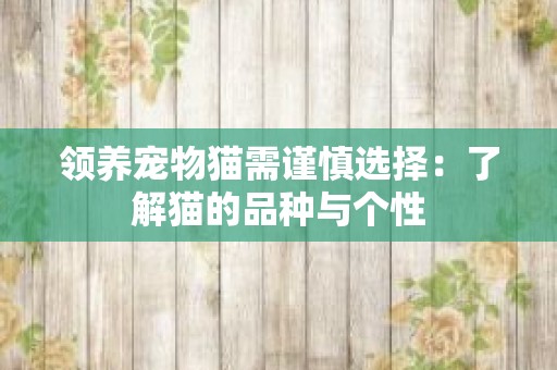 领养宠物猫需谨慎选择：了解猫的品种与个性