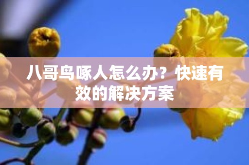 八哥鸟啄人怎么办？快速有效的解决方案