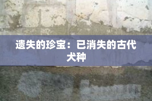 遗失的珍宝：已消失的古代犬种