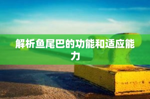 解析鱼尾巴的功能和适应能力