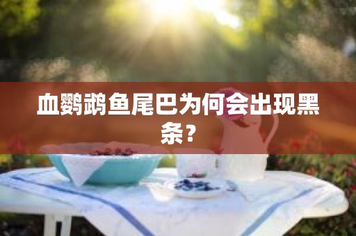 血鹦鹉鱼尾巴为何会出现黑条？
