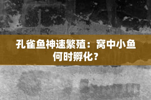 孔雀鱼神速繁殖：窝中小鱼何时孵化？