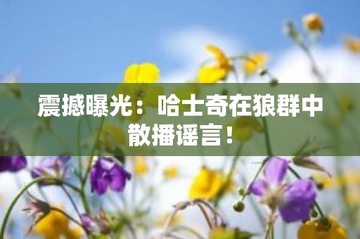 震撼曝光：哈士奇在狼群中散播谣言！