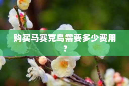 购买马赛克鸟需要多少费用？