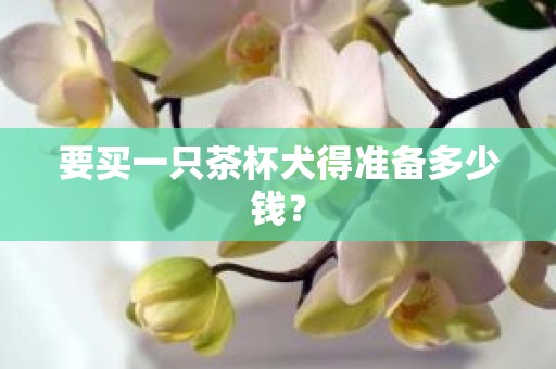 要买一只茶杯犬得准备多少钱？