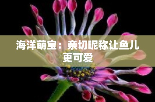 海洋萌宝：亲切昵称让鱼儿更可爱