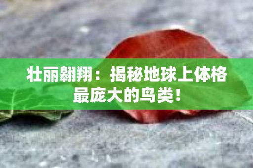 壮丽翱翔：揭秘地球上体格最庞大的鸟类！