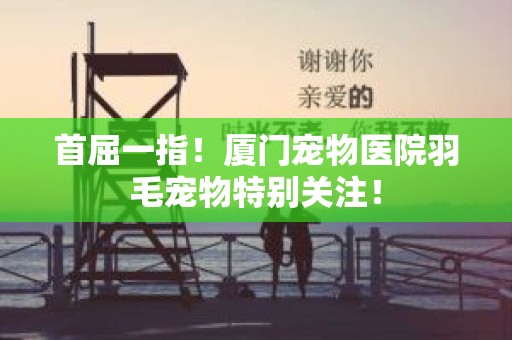 首屈一指！厦门宠物医院羽毛宠物特别关注！