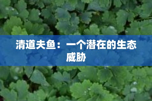清道夫鱼：一个潜在的生态威胁