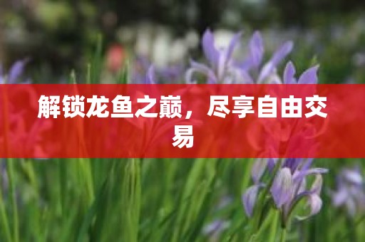 解锁龙鱼之巅，尽享自由交易