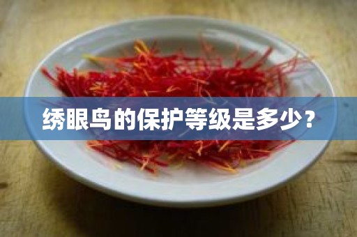 绣眼鸟的保护等级是多少？