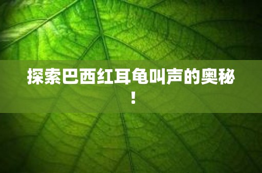 探索巴西红耳龟叫声的奥秘！