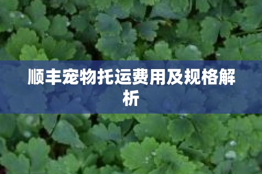 顺丰宠物托运费用及规格解析