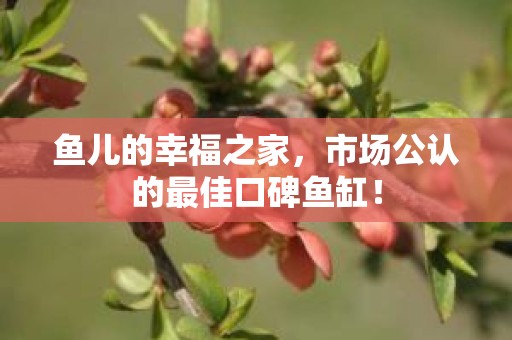 鱼儿的幸福之家，市场公认的最佳口碑鱼缸！