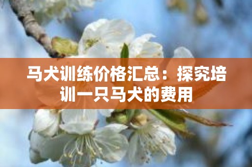 马犬训练价格汇总：探究培训一只马犬的费用