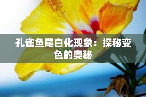 孔雀鱼尾白化现象：探秘变色的奥秘