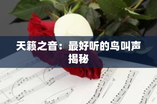 天籁之音：最好听的鸟叫声揭秘