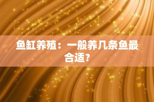 鱼缸养殖：一般养几条鱼最合适？