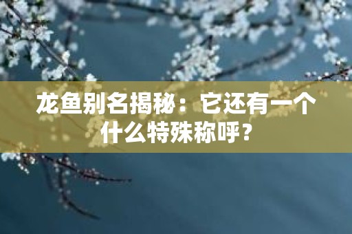 龙鱼别名揭秘：它还有一个什么特殊称呼？