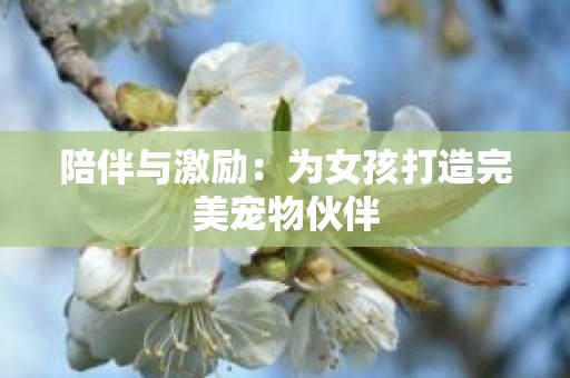 陪伴与激励：为女孩打造完美宠物伙伴