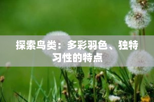 探索鸟类：多彩羽色、独特习性的特点