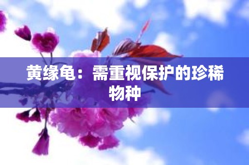 黄缘龟：需重视保护的珍稀物种